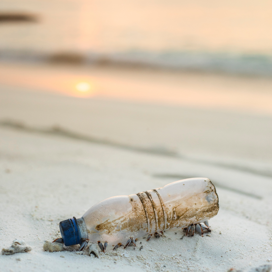 4 Ways to Reduce Everyday Toxins