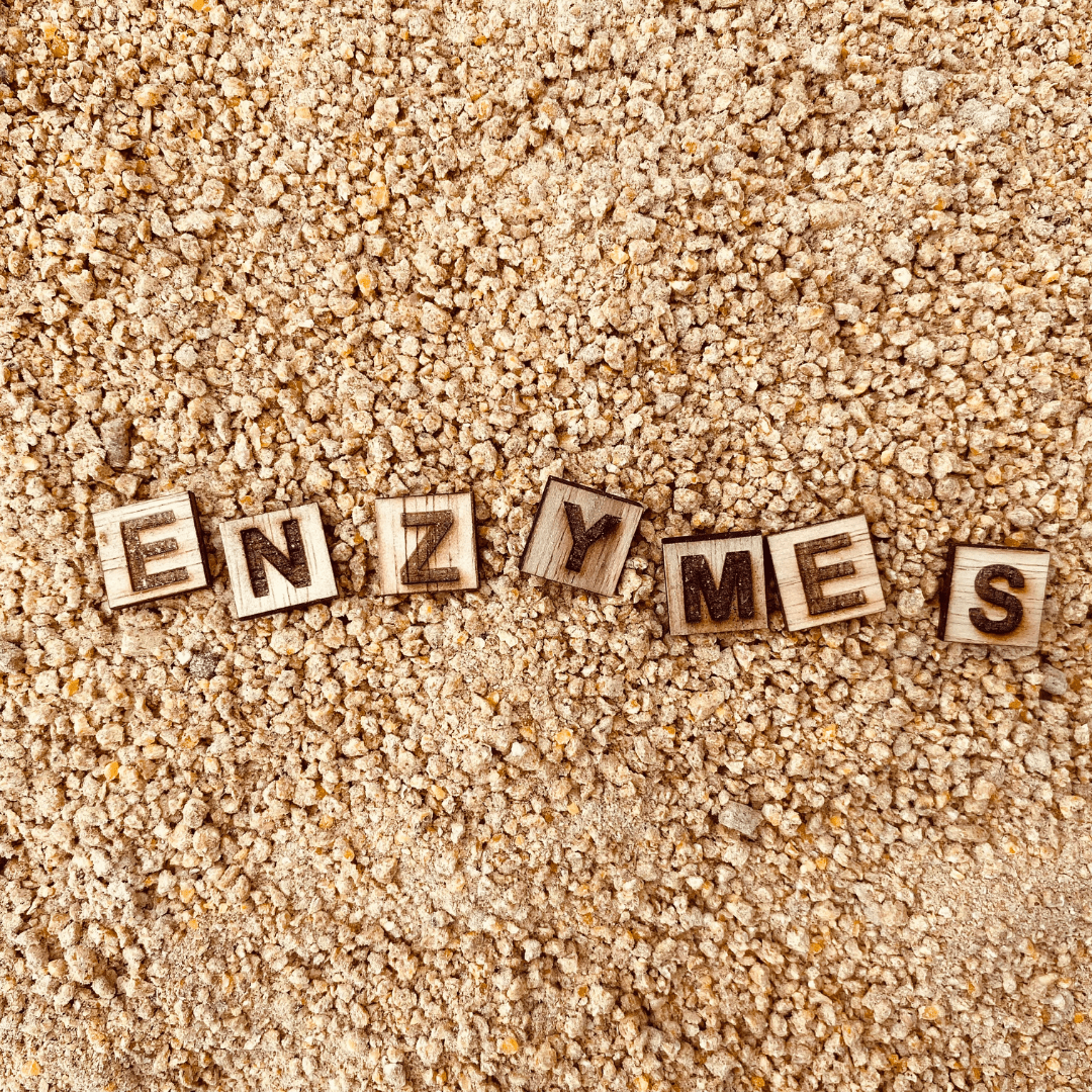 What are digestive enzymes? Why do we need them? - Your Healthy Fix