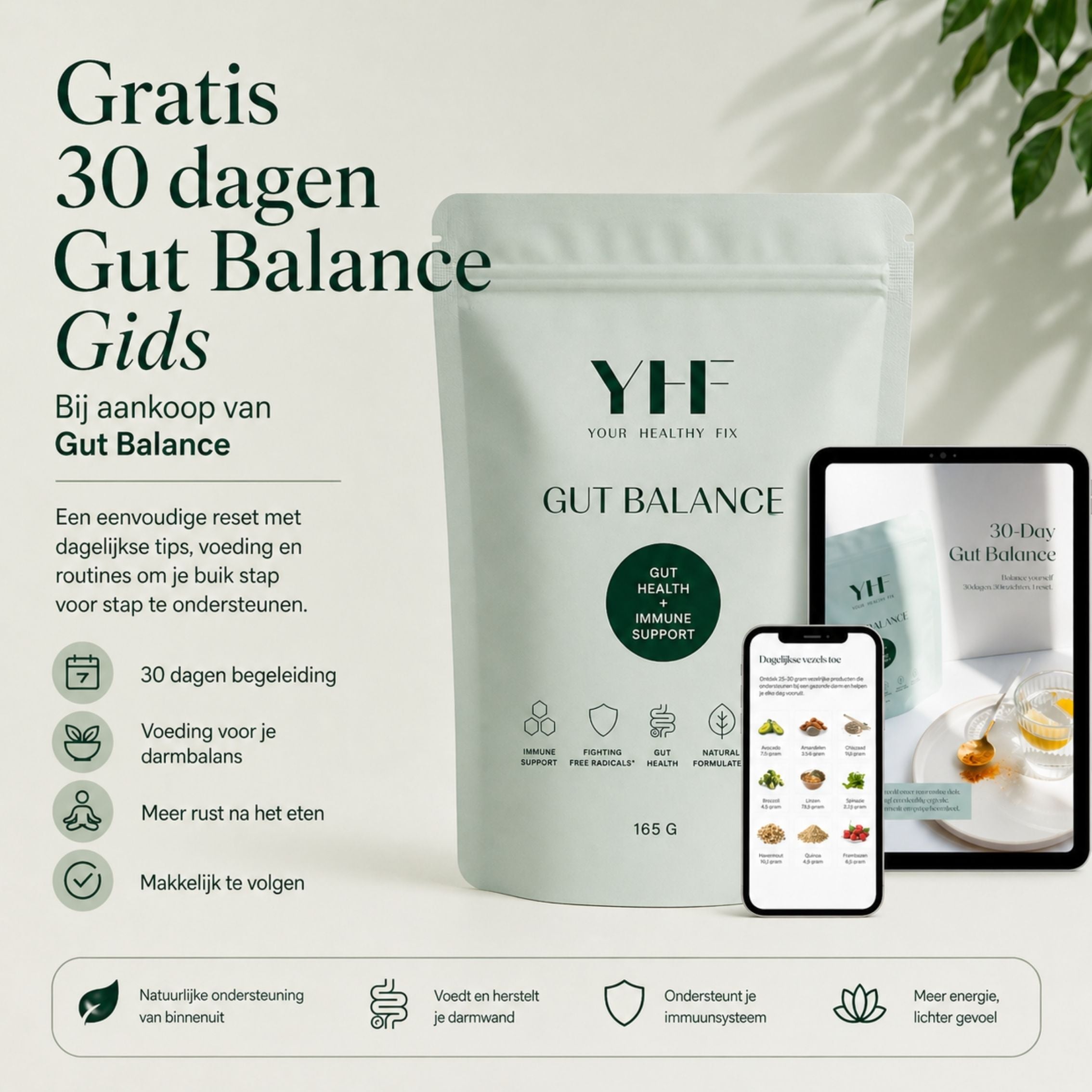 Ebook: YHF Gut Balance Guide