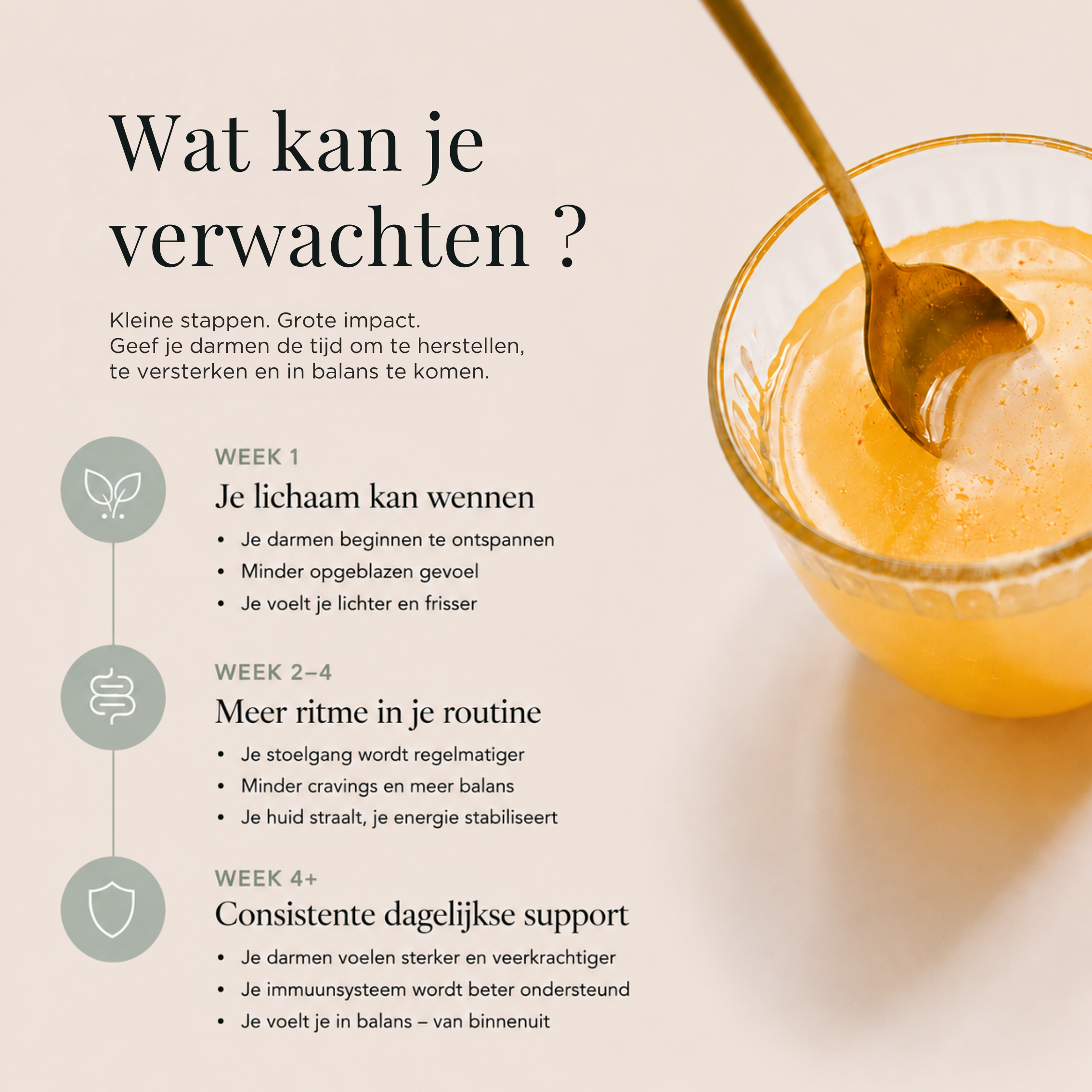 Gut Balance