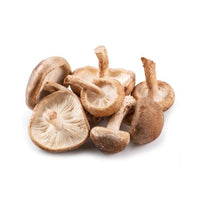 Shiitake (Lentinula edodes)