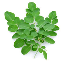 Moringa