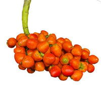 Guarana