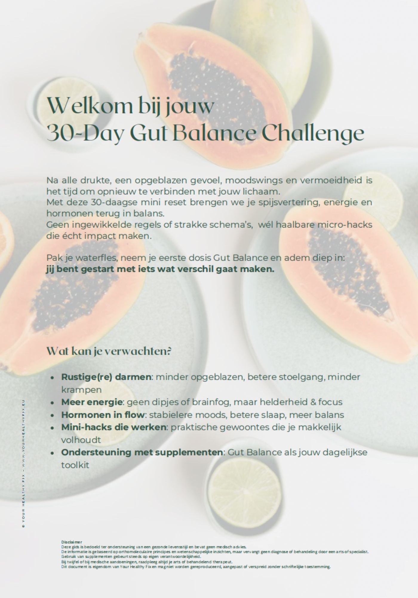 Ebook: YHF Gut Balance Guide | Your Healthy Fix
